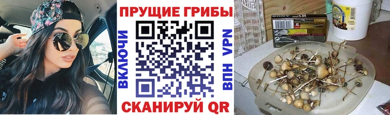 Псилоцибиновые грибы GOLDEN TEACHER  как найти закладки  мориарти как зайти  Костерёво 